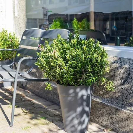 Apartamento Sleep&stay Floris Iv Haia